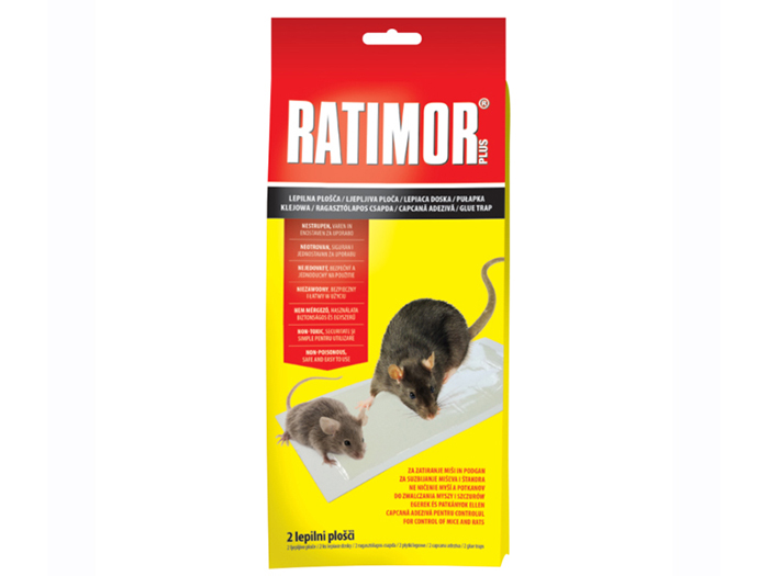 Glue Trap Mouse Paper