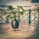 Rolling Platform - 35cm