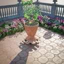 Rolling Platform - 35cm