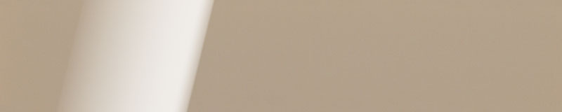 [007744] ABS HG 0330L 1/22MM New Capuccino - X