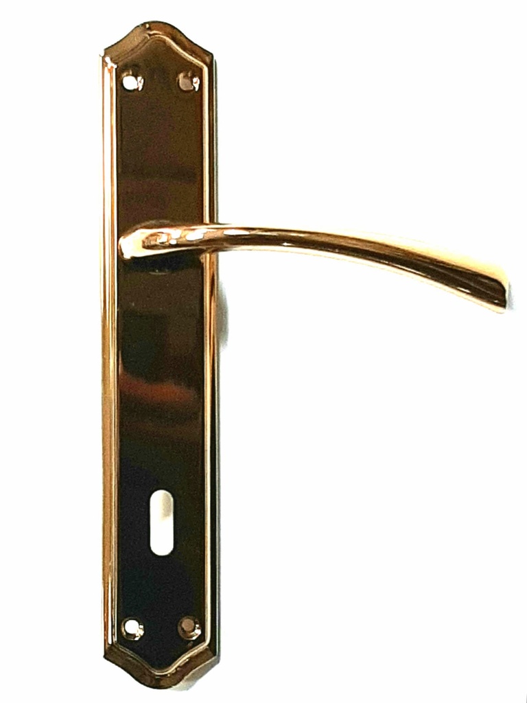 [003194] D/Handle Dila Albirifin