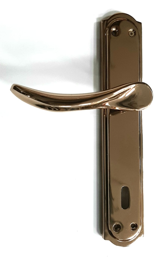 [001594] D/Handle Nisan Albirifin