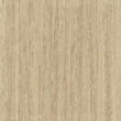 Screw Cover 14mm - Code 124 Modena
