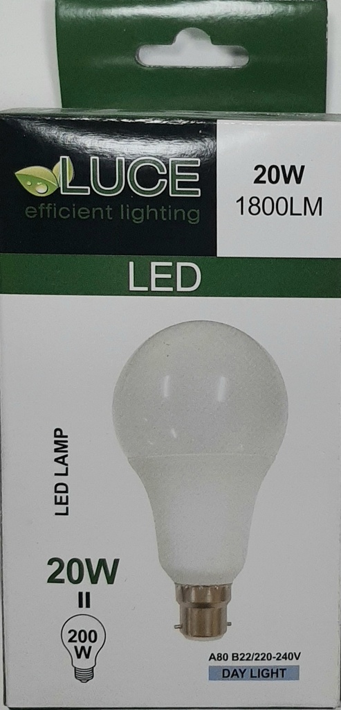 Luce Led 20w B22 Day