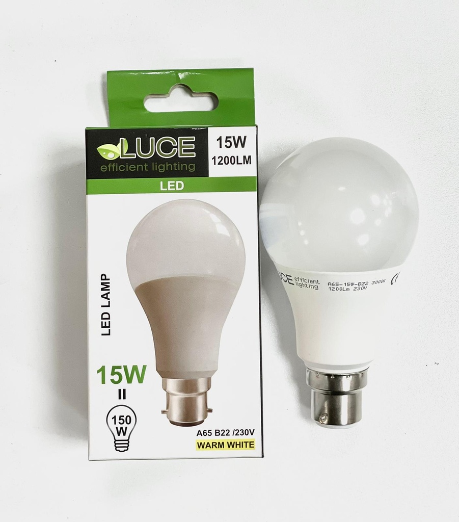 Luce Led 15w B22 Warm
