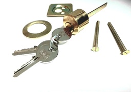 [000667] Cylinder FF Round Loose - Wood