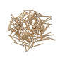 [002989] Nails Brass 1.0 X 10 PKT 50gr