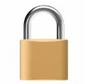 [000896] Padlock Brass 30mm