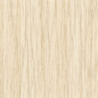 [200428] Screw Cover 20mm - Code 117