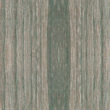 [200447] Screw Cover 20mm - Code 137