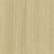 [200496] Screw Cover 20mm - Code 337