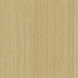 [200497] Screw Cover 20mm - Code 338