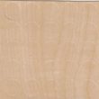 [200536] Screw Cover 20mm - Code 811