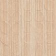 [200544] Screw Cover 20mm - Code 825