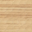 [200546] Screw Cover 20mm - Code 829