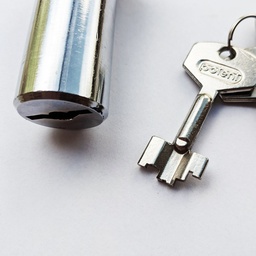 [001034] Potent Spare Cylinder 1715 60mm